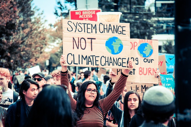 ESG Reports: Why Sustainability Needs Action, Not More Dashboards